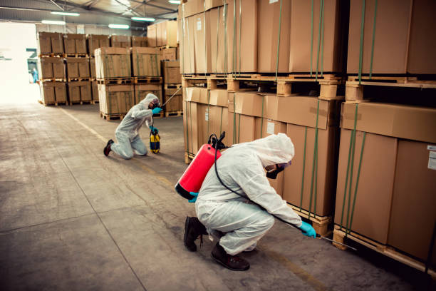 Best Residential Pest Control  in Palmer, AK