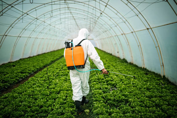 Best Best Pest Control Companies  in Palmer, AK