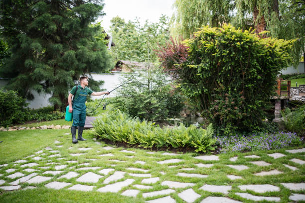 Best Wasp Removal Services  in Palmer, AK