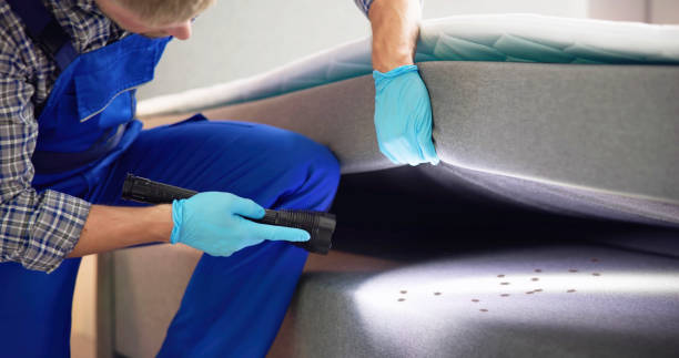 Best Ant Control Services  in Palmer, AK