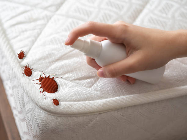 Best Pest Prevention Services  in Palmer, AK