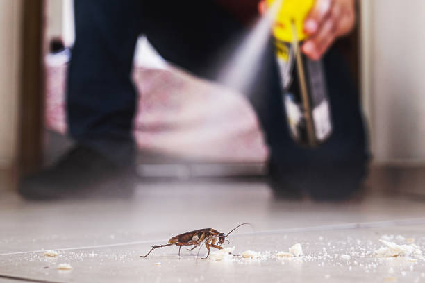 Best Best Pest Control Companies  in Palmer, AK