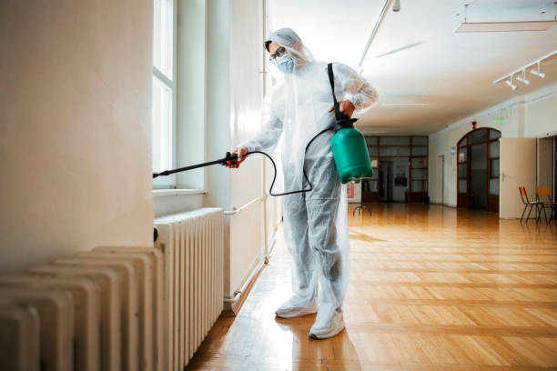 Best Emergency Pest Control  in Palmer, AK