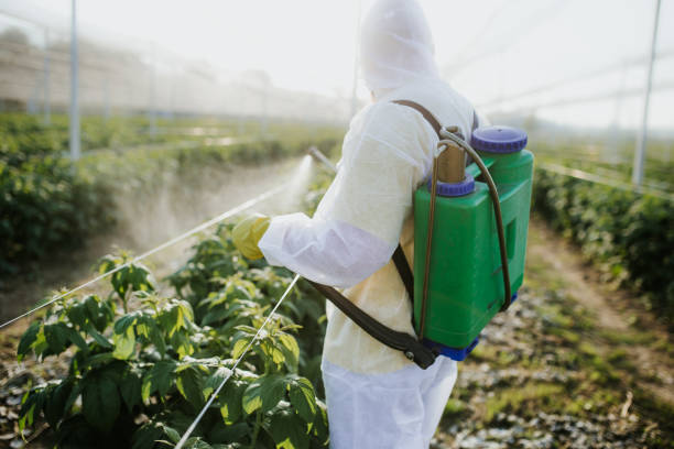 Best Wildlife Control Services  in Palmer, AK